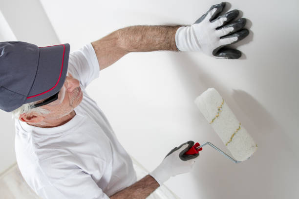 Best Post-Construction Mold Inspection  in Lucas, TX