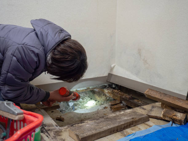 Best Comprehensive Air Testing for Mold Contaminants  in Lucas, TX
