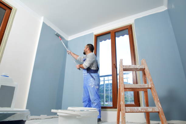 Best Emergency Mold Remediation  in Lucas, TX