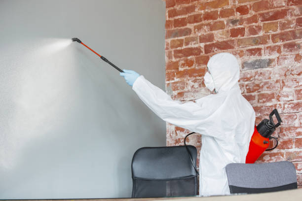 Best Mold-Related Health Consultation  in Lucas, TX