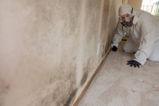 Best Mold Removal for HVAC Installations  in Lucas, TX
