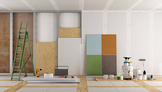 Mold Odor Removal Services in Lucas, TX